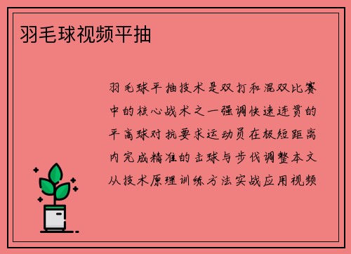 羽毛球视频平抽